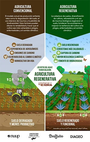 Agricultura regenerativa