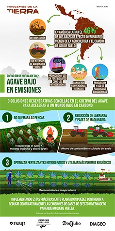 Agave bajo en emisiones
