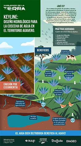 Keyline: Diseño hidrológico para la cosecha de agua