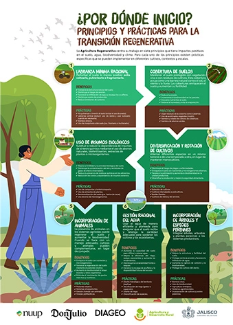 Principios y prácticas para la transición regenerativa